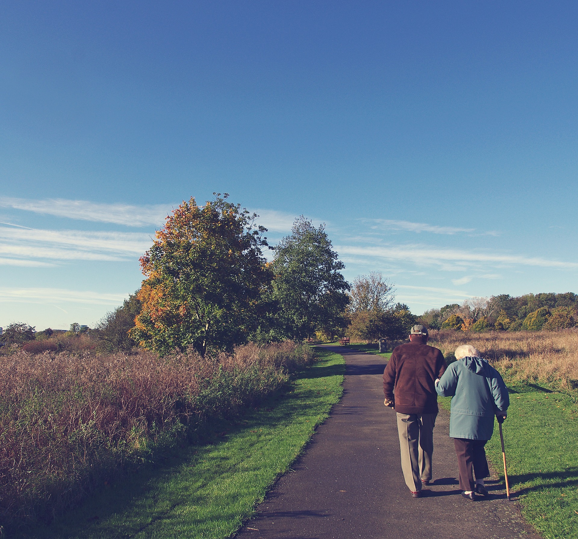Elderly Couple Walking in the Park